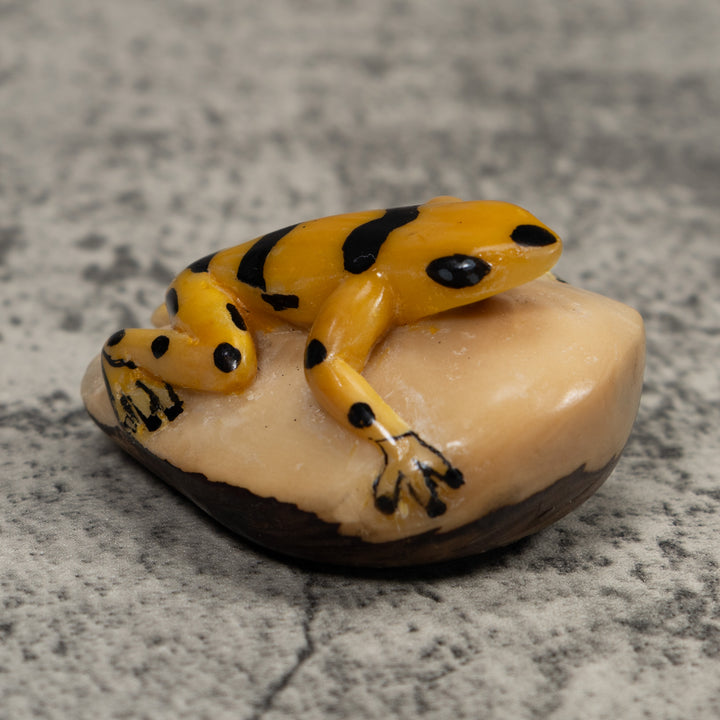 Golden Frog Tagua Carving