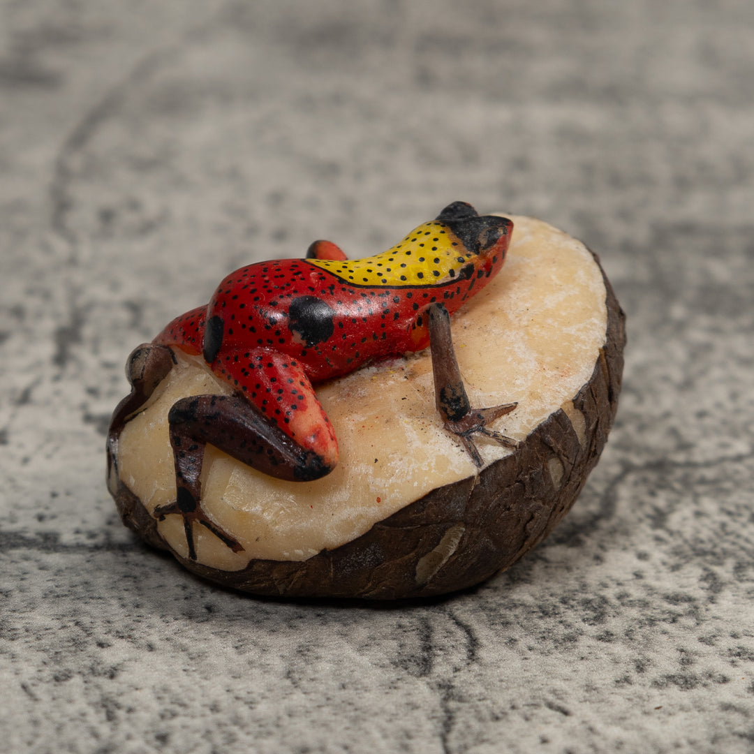 Vintage Red And Yellow Poison Dart Frog Tagua Carving