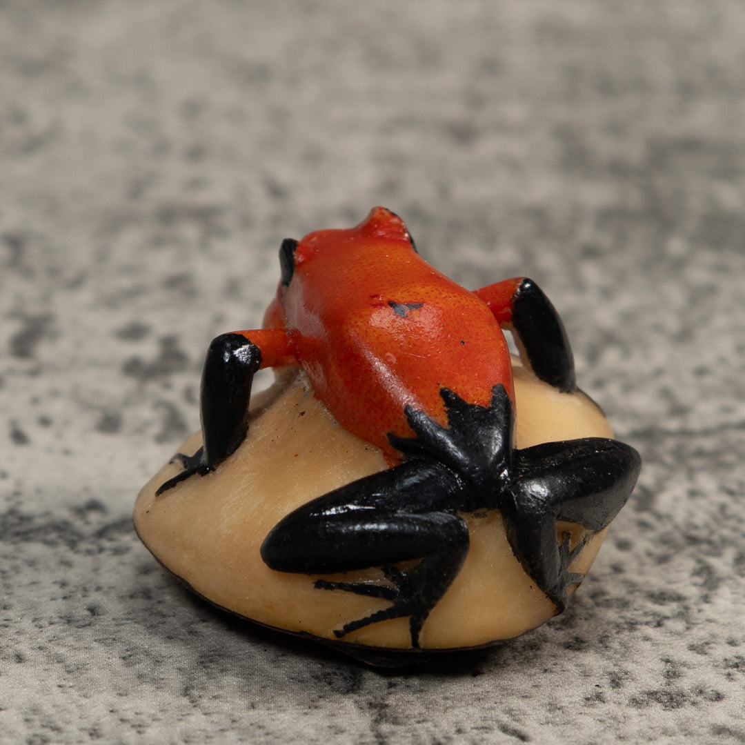 Black And Red Blowthroat Poison Dart Frog Tagua Carving