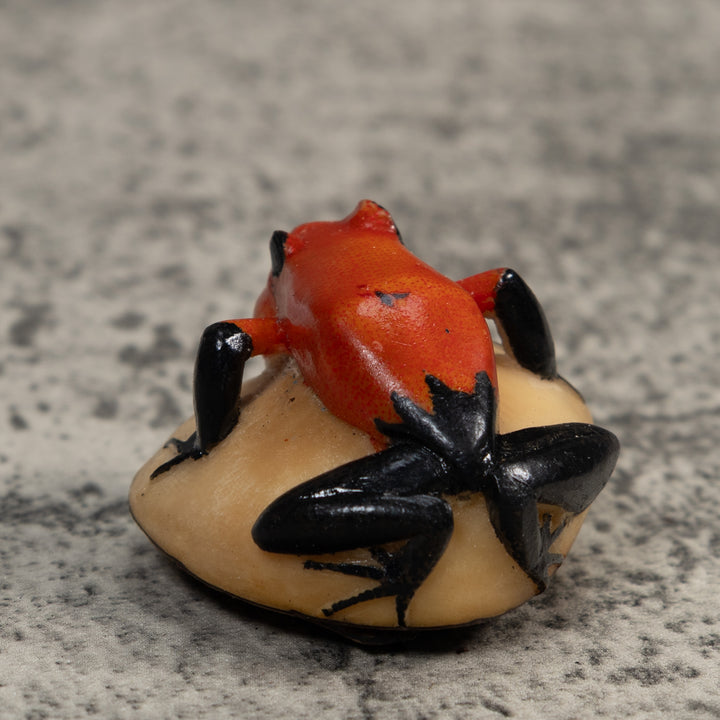 Black And Red Blowthroat Poison Dart Frog Tagua Carving