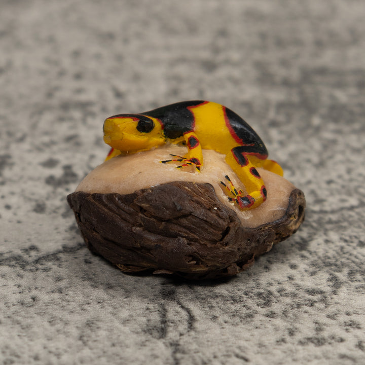 Gold Red And Black Frog Tagua Carving