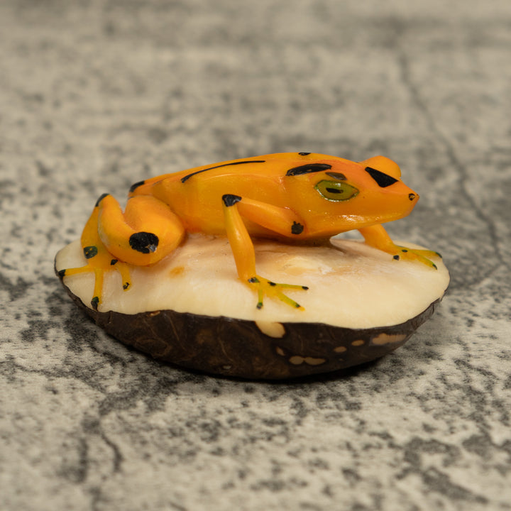 Golden Frog Tagua Carving