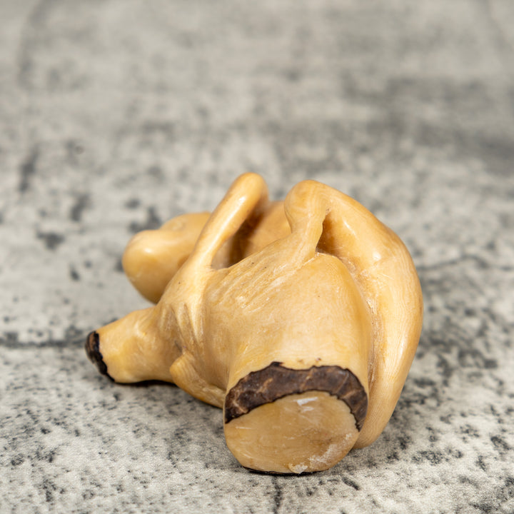 Vintage Natural White And Dyed Monkey Tagua Carving