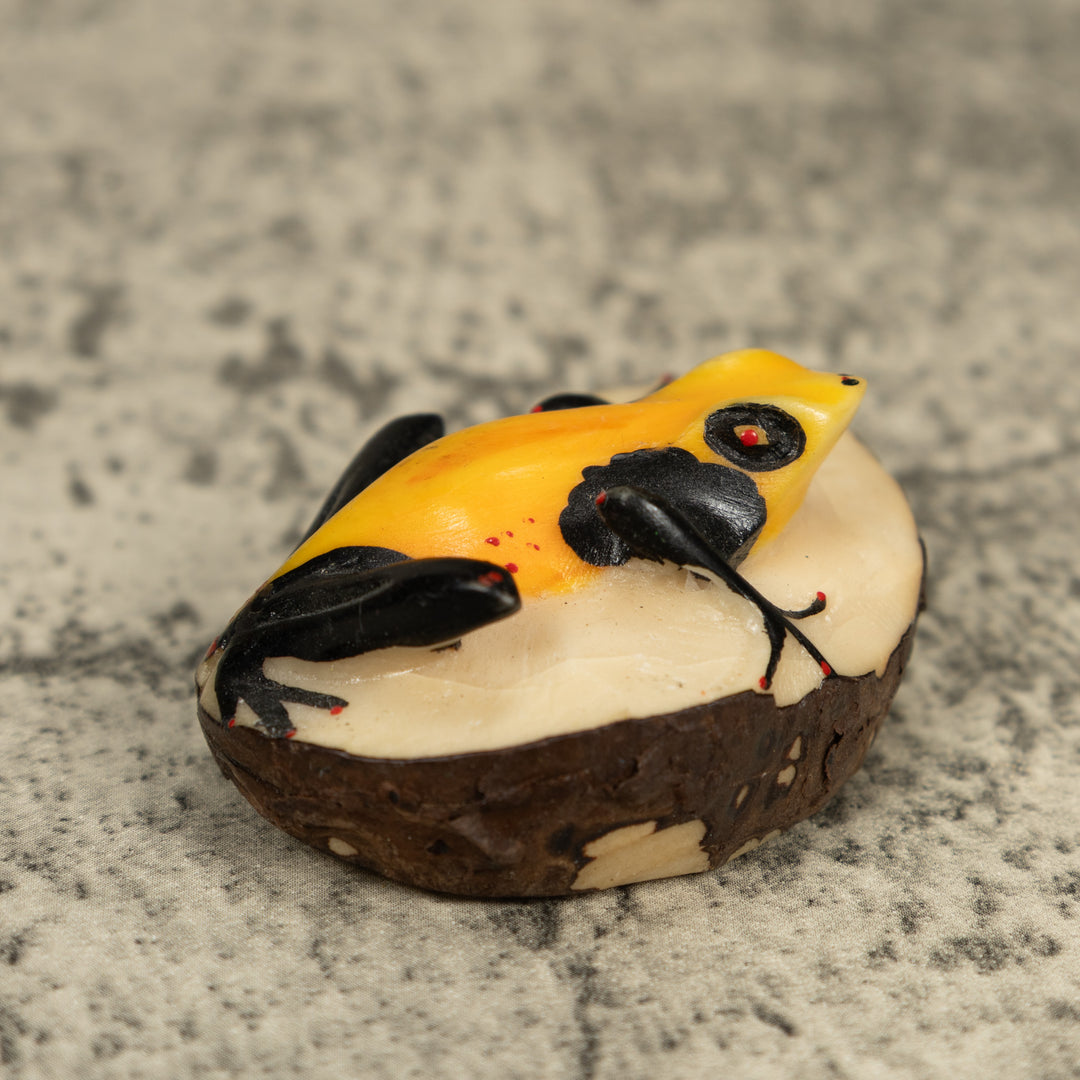 Vintage Black And Yellow Poison Dart Frog Frog Tagua Carving