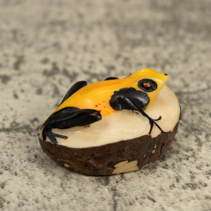 Vintage Black And Yellow Poison Dart Frog Frog Tagua Carving