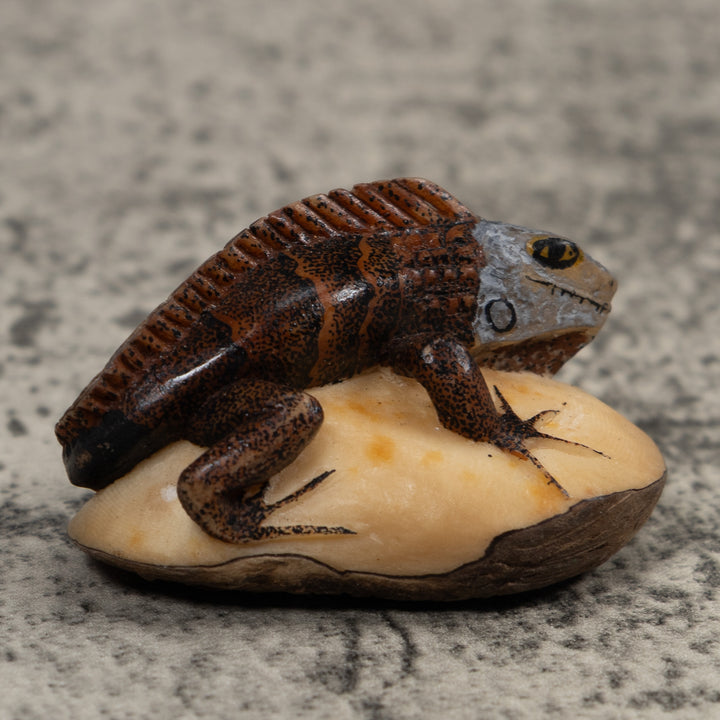 Iguana Lizard Reptile Tagua Carving