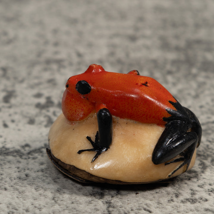 Black And Red Blowthroat Poison Dart Frog Tagua Carving