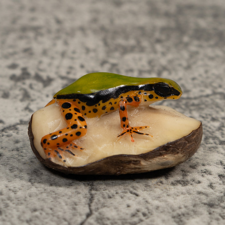 Vintage Green Gold And Dots Poison Dart Frog Tagua Carving