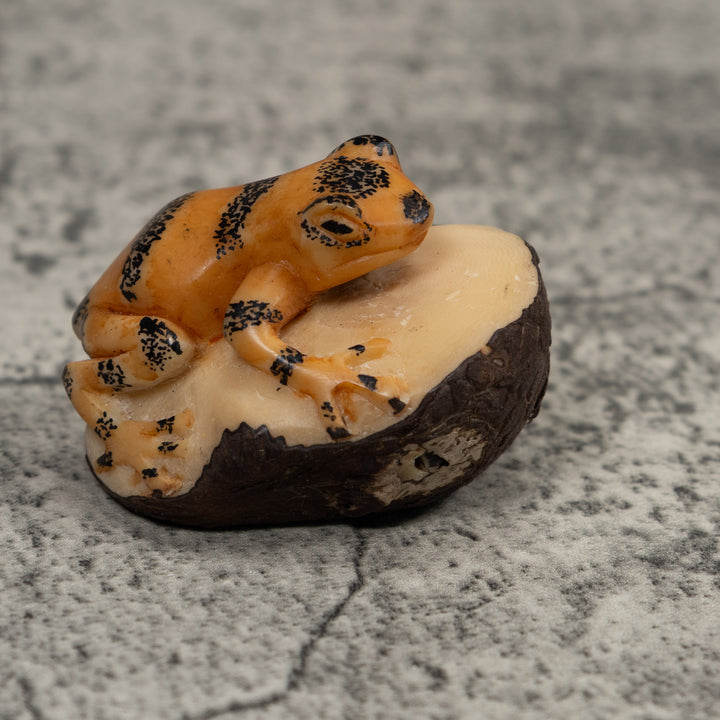 Vintage Black And Gold Frog Tagua Carving