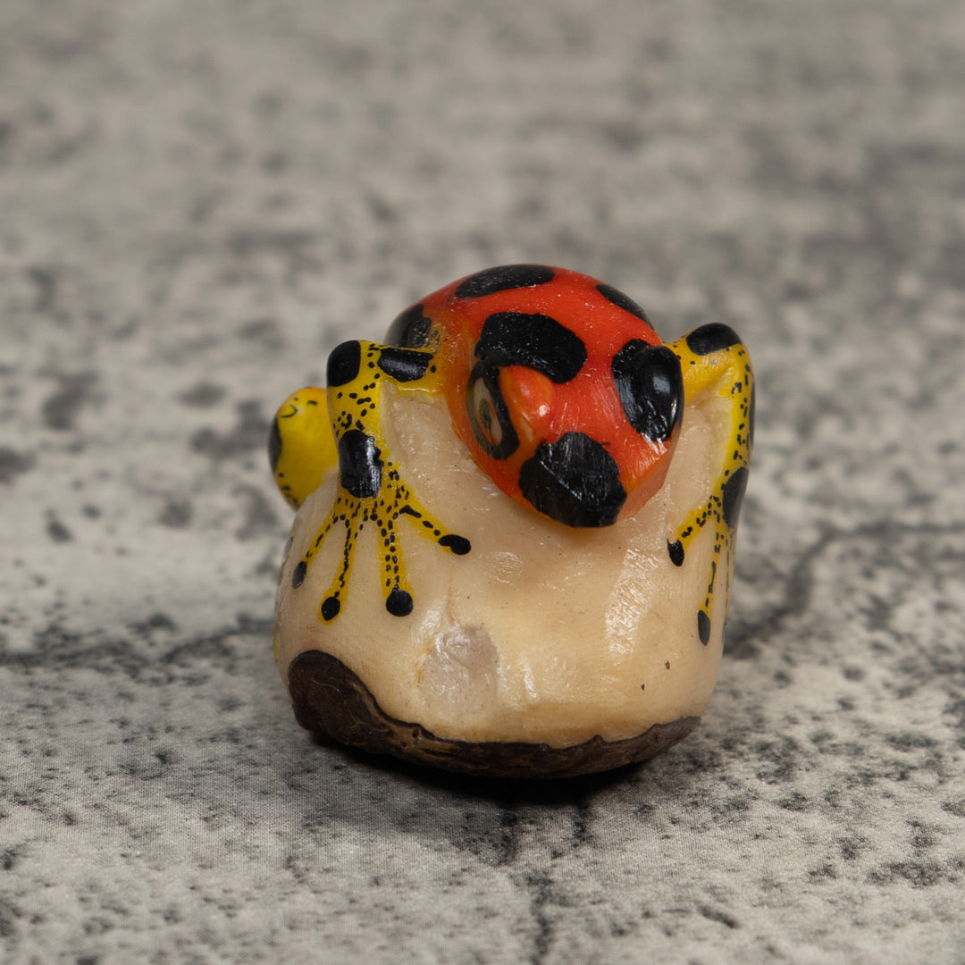 Red Yellow And Black Poison Dart Frog Tagua Carving