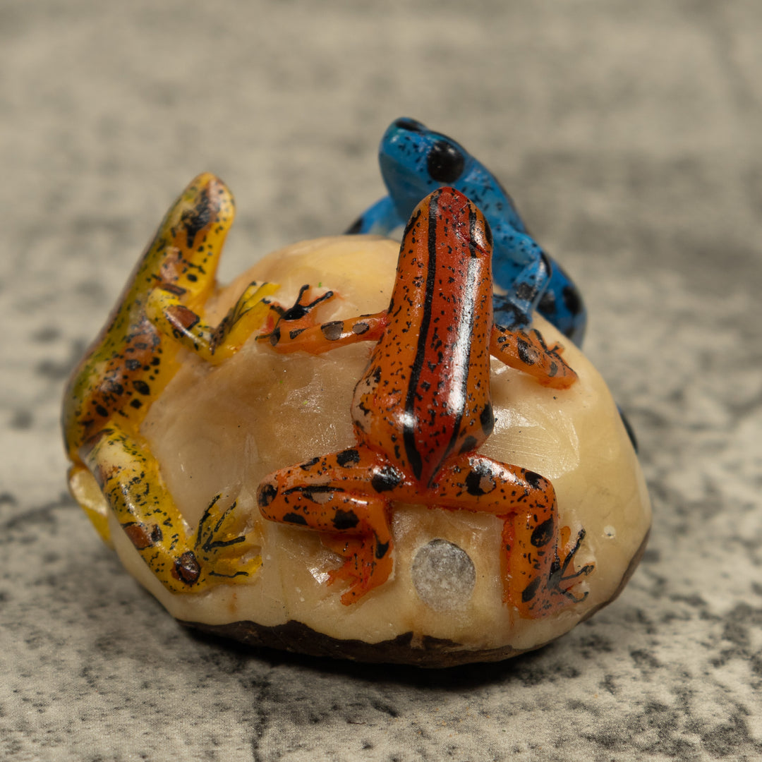Triple Poison Dart Frog Tagua Carving