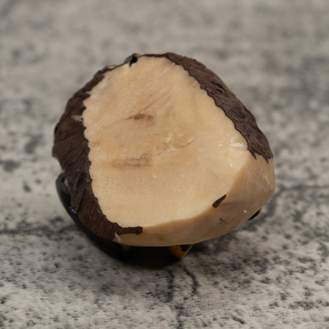 Poison Dart Frog Tagua Carving