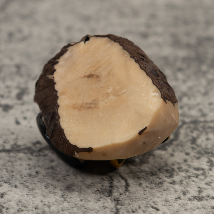 Poison Dart Frog Tagua Carving