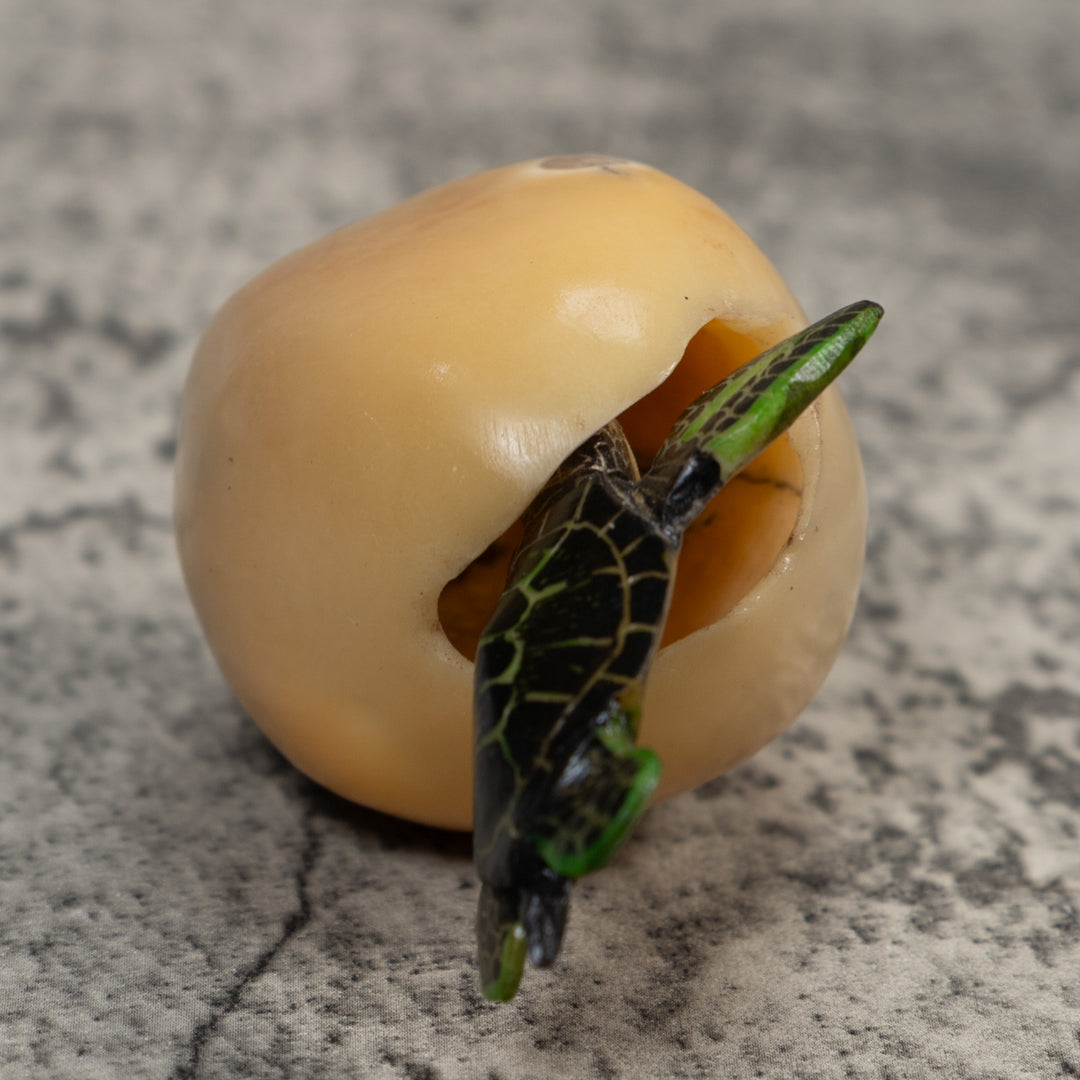 Sea Turtle Emerging From Egg Tagua Carving