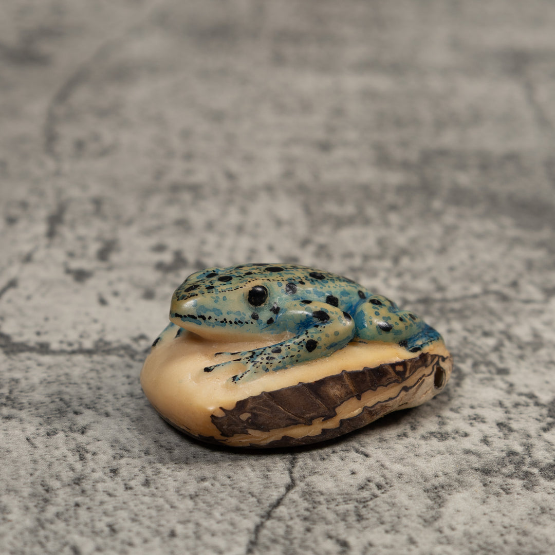 Vintage Black And Blue Frog Tagua Carving