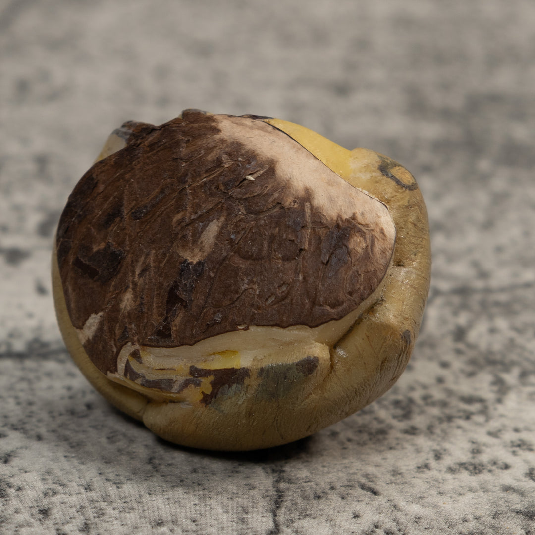 Brown Tan Sloth Tagua Carving