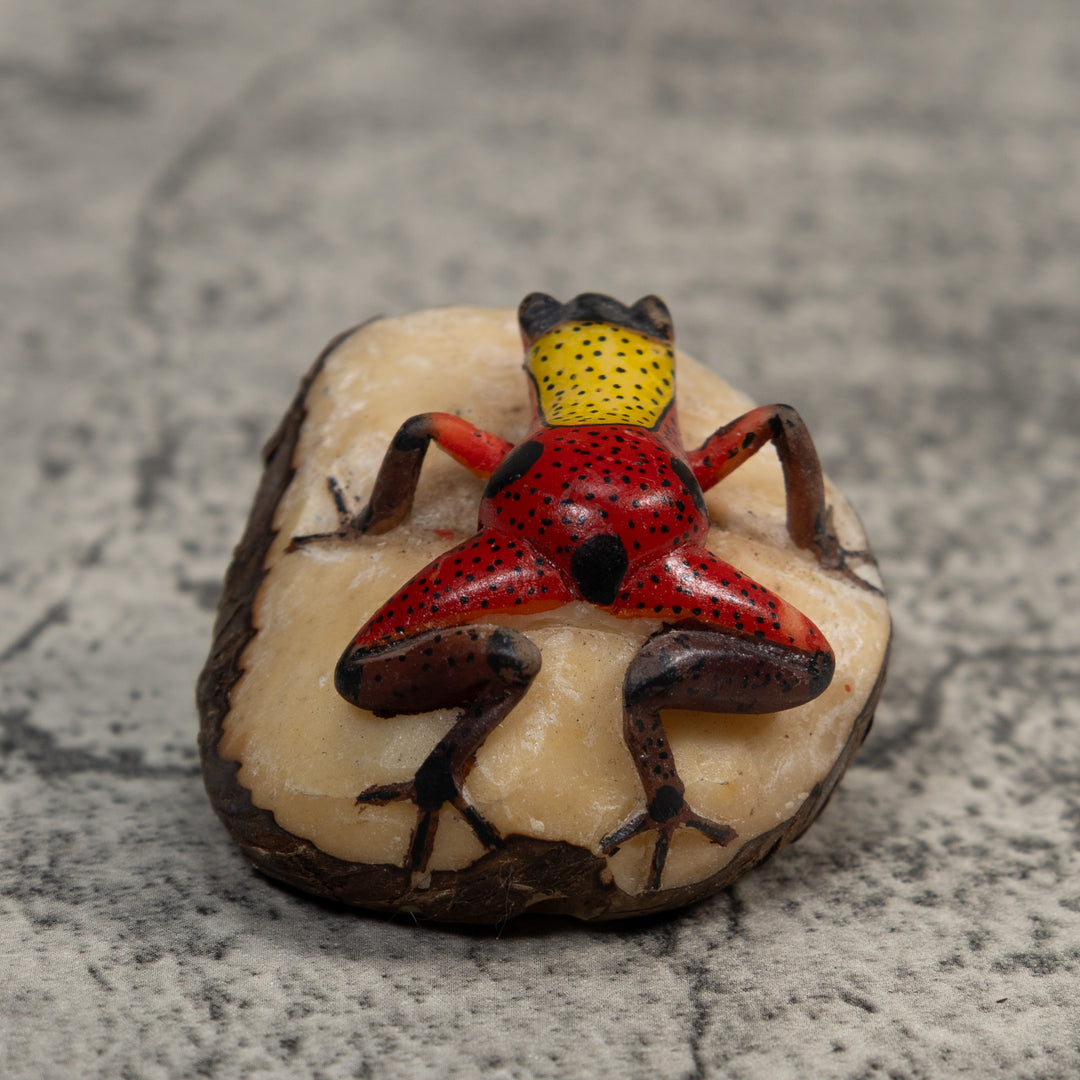 Vintage Red And Yellow Poison Dart Frog Tagua Carving