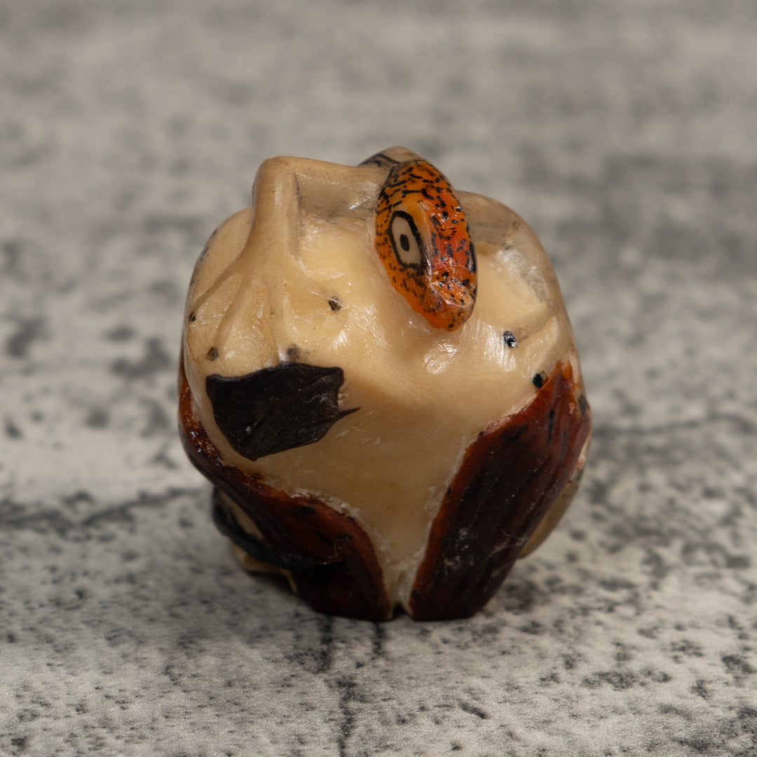 Orange And Brown Gecko Lizard Tagua Carving