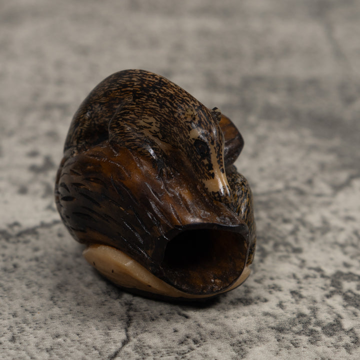 Coatimundi Tagua Carving