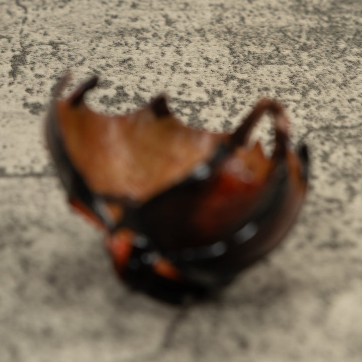 Vampire Bat Bird Tagua Carving