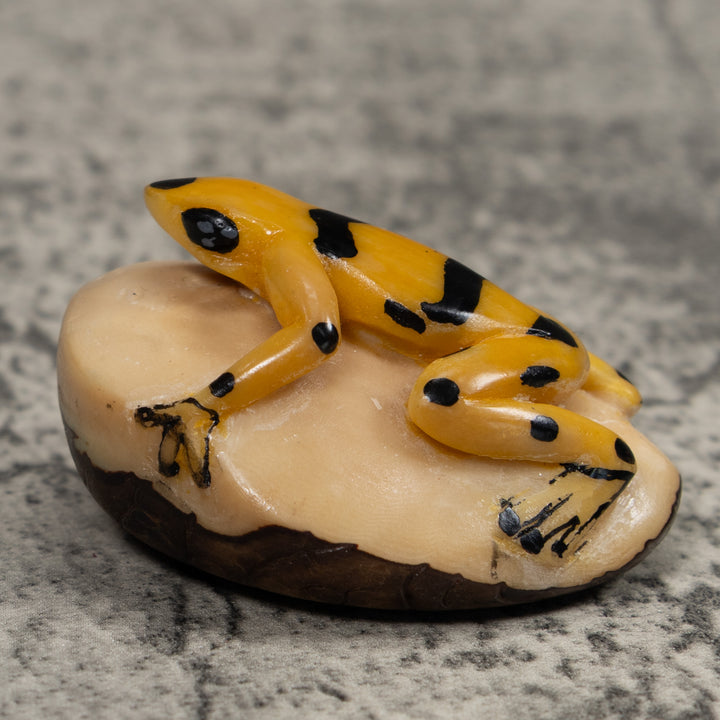Golden Frog Tagua Carving