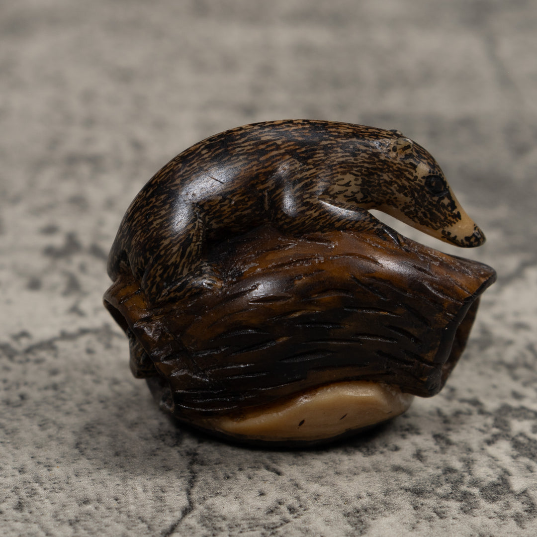 Coatimundi Tagua Carving