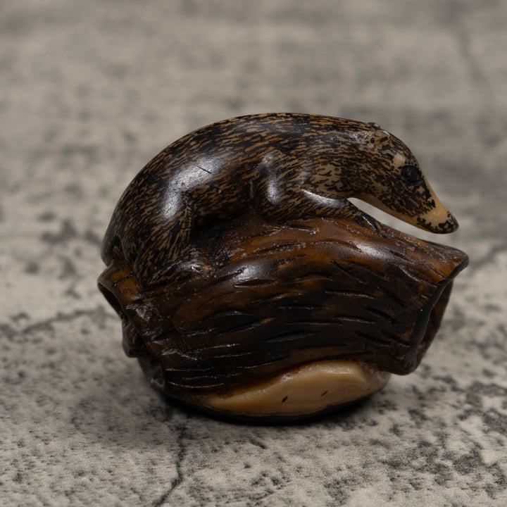 Coatimundi Tagua Carving