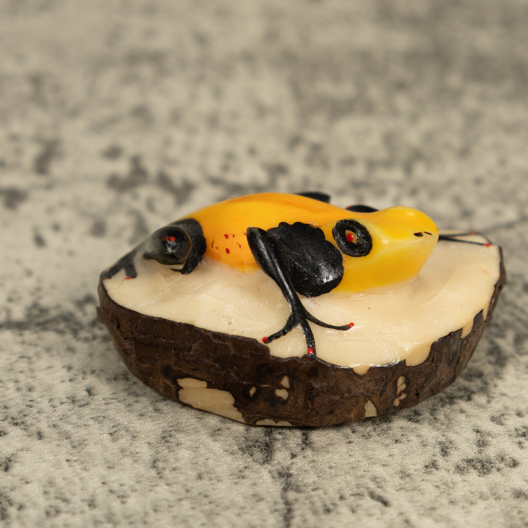 Vintage Black And Yellow Poison Dart Frog Frog Tagua Carving