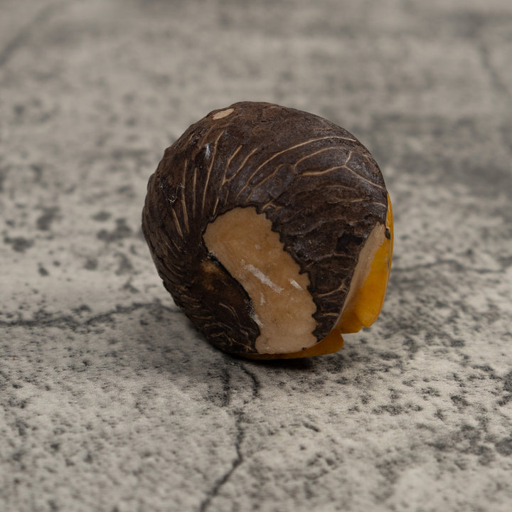 Vintage Black And Gold Frog Tagua Carving