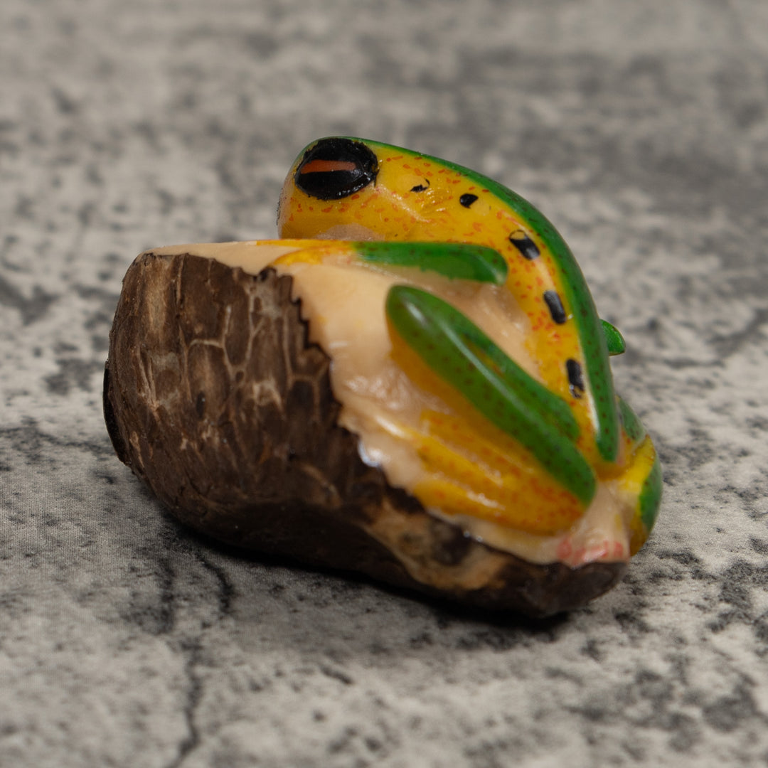 Vintage Green And Gold  Poison Dart Frog Tagua Carving
