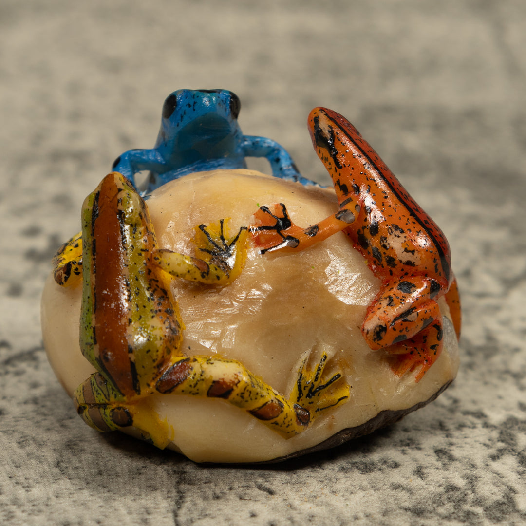 Triple Poison Dart Frog Tagua Carving