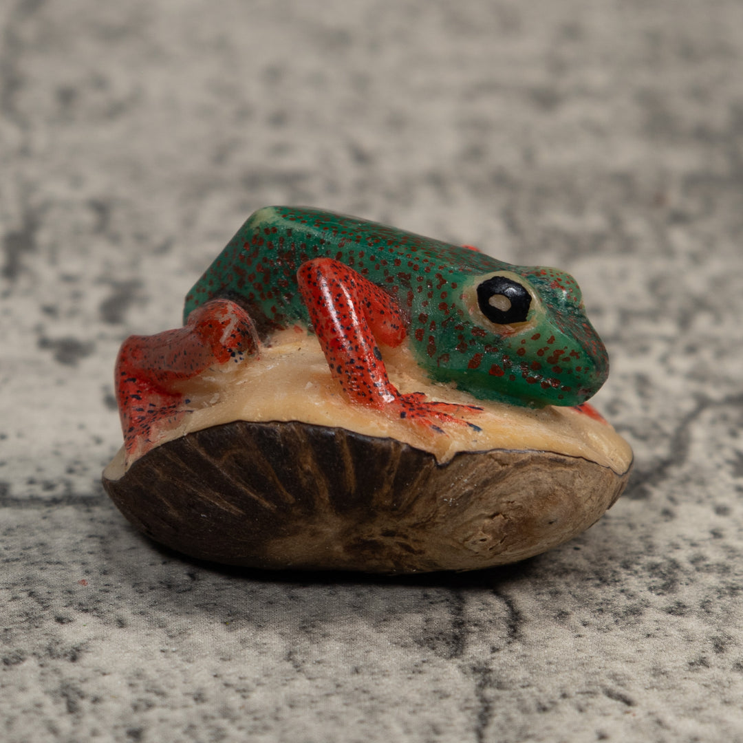 Red And Green Poison Dart Frog Tagua Carving