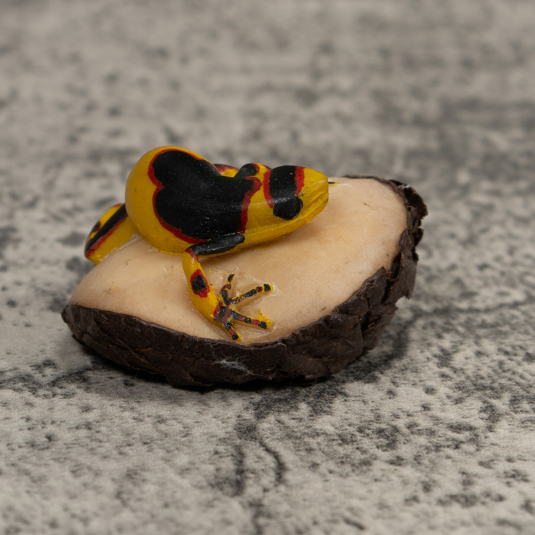 Gold Red And Black Frog Tagua Carving