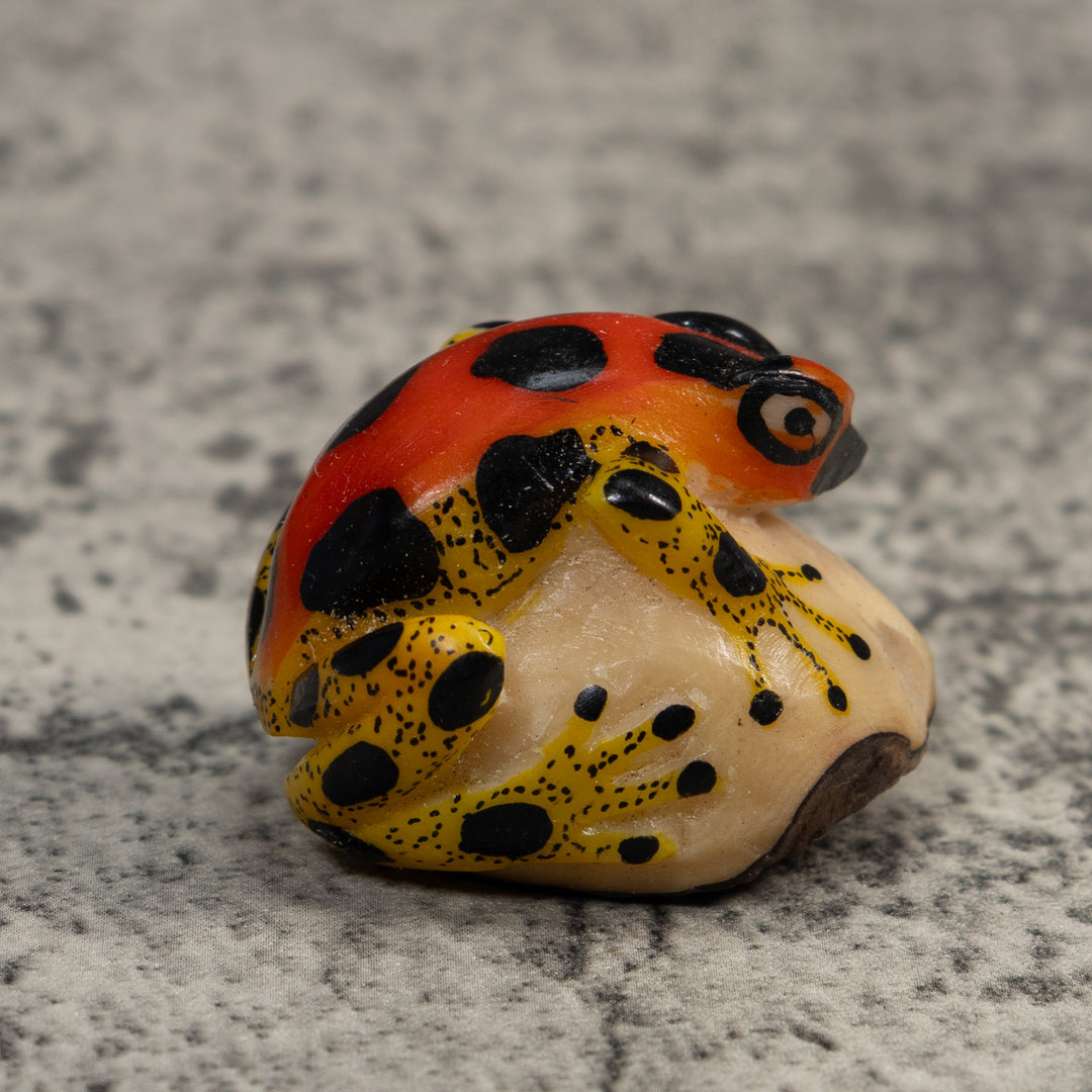 Red Yellow And Black Poison Dart Frog Tagua Carving