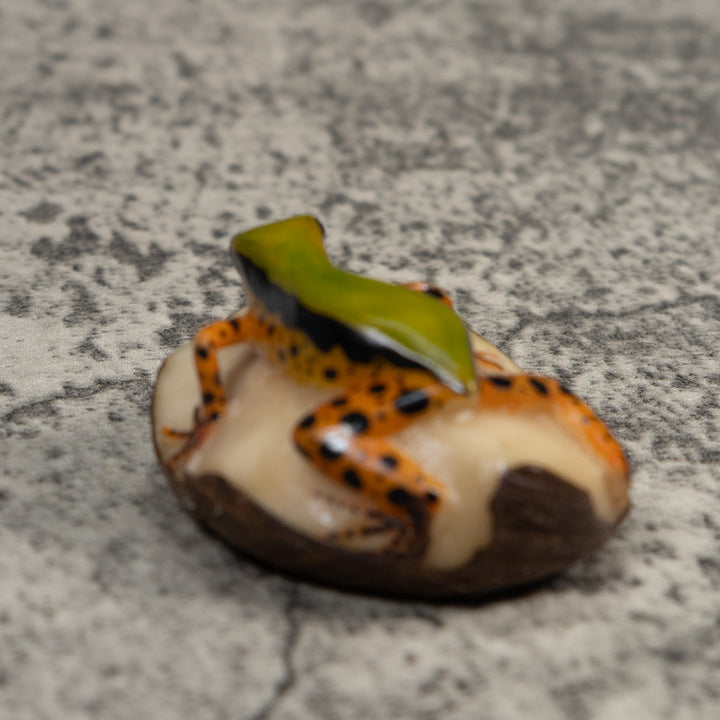 Vintage Green Gold And Dots Poison Dart Frog Tagua Carving