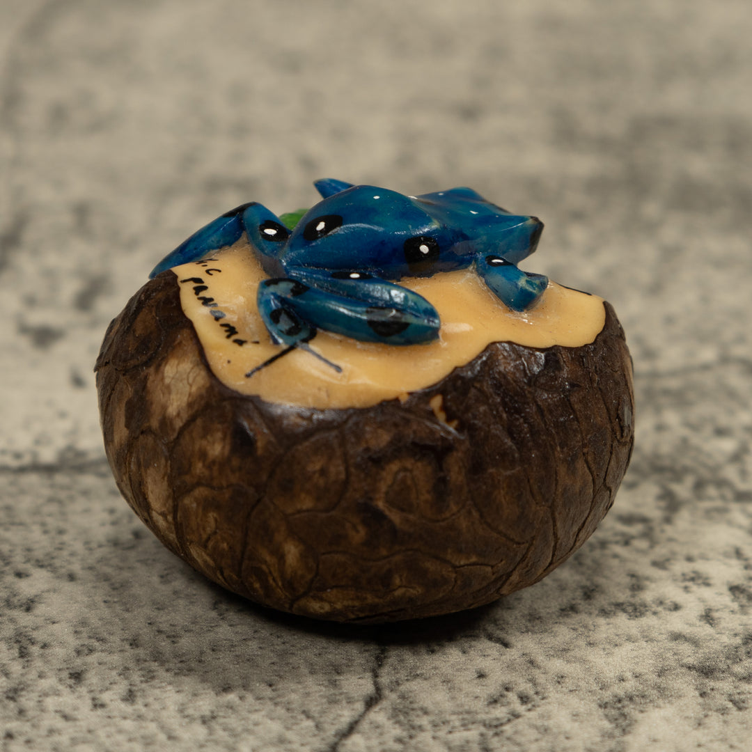 Blue Poison Dart Frog Tagua Carving