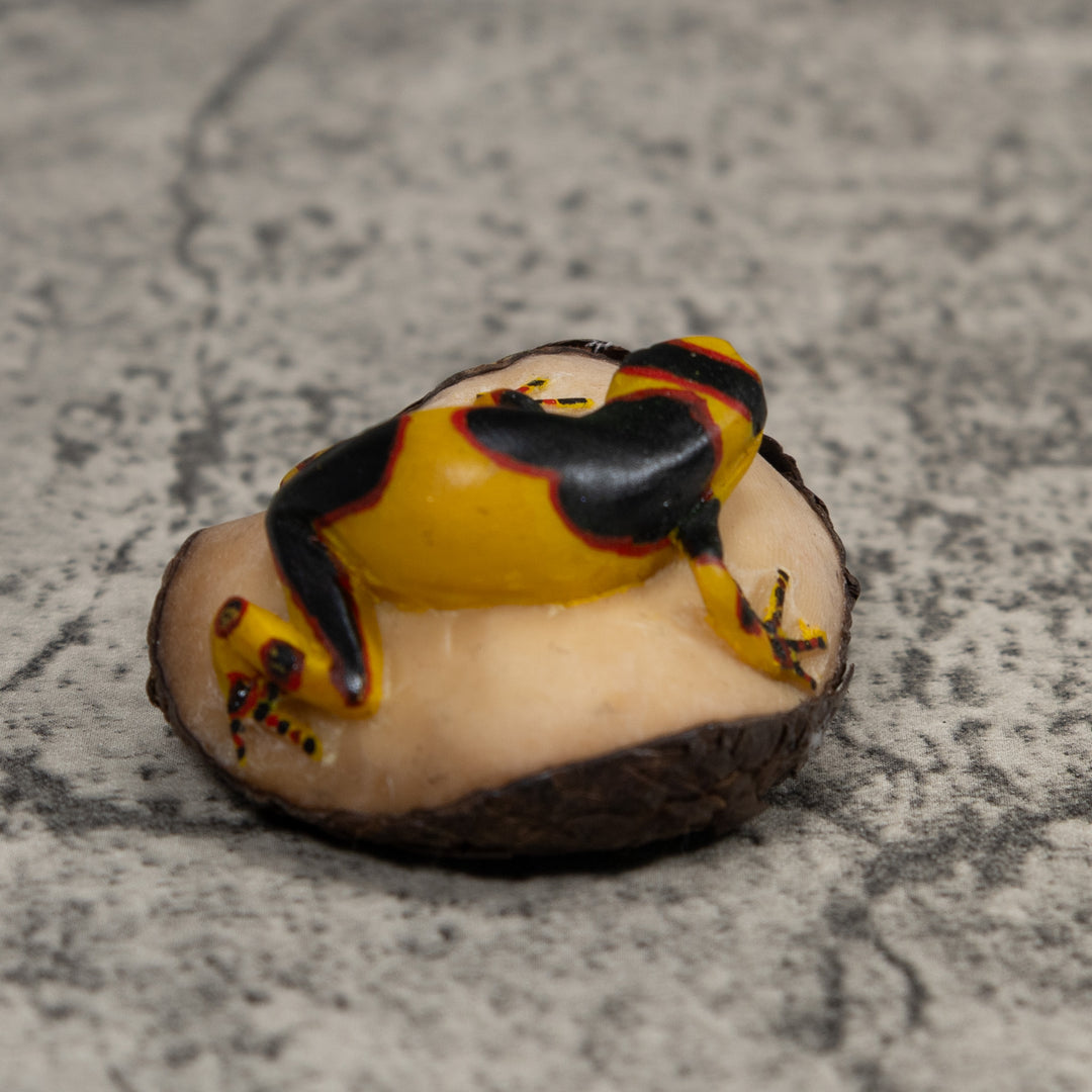 Gold Red And Black Frog Tagua Carving