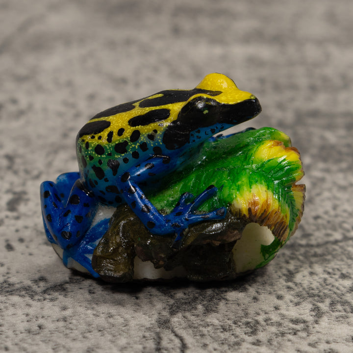 Poison Dart Frog Tagua Carving