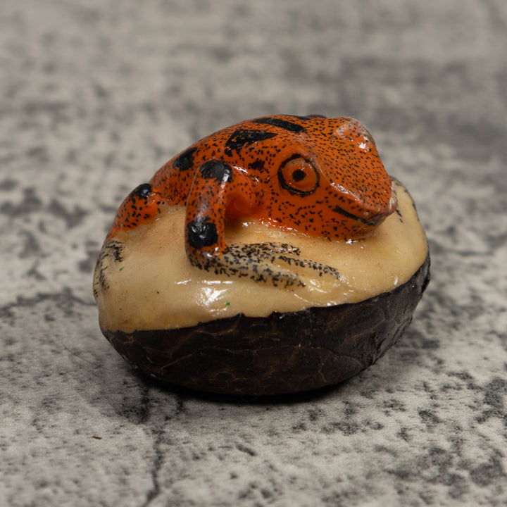 Vintage Poison Dart Frog Tagua Carving
