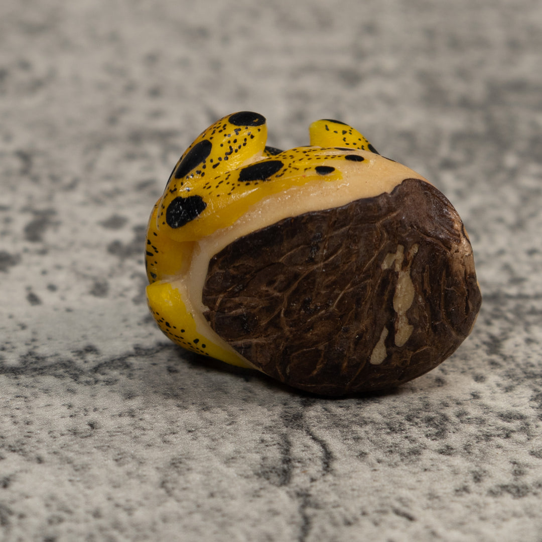 Red Yellow And Black Poison Dart Frog Tagua Carving