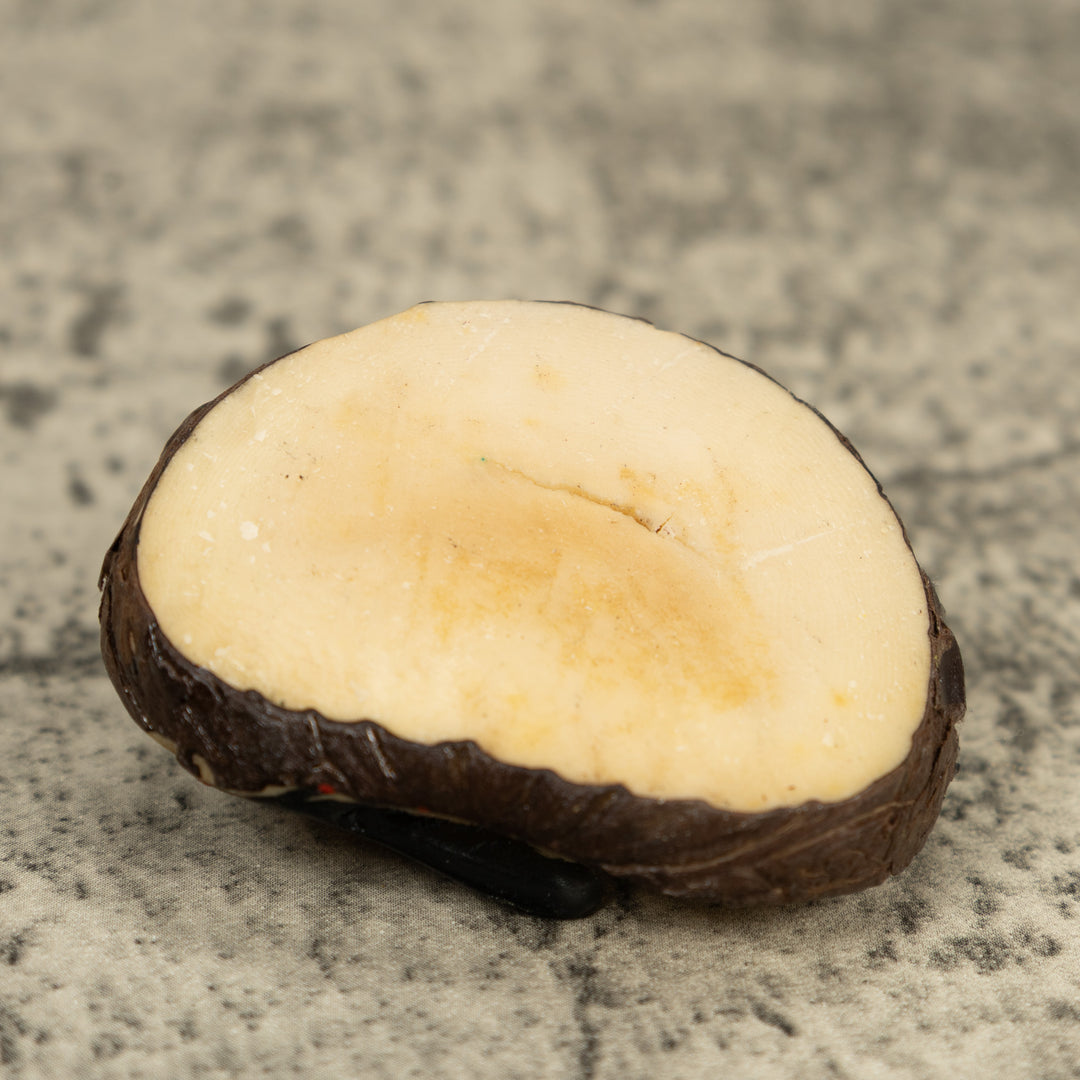 Vintage Black And Yellow Poison Dart Frog Frog Tagua Carving