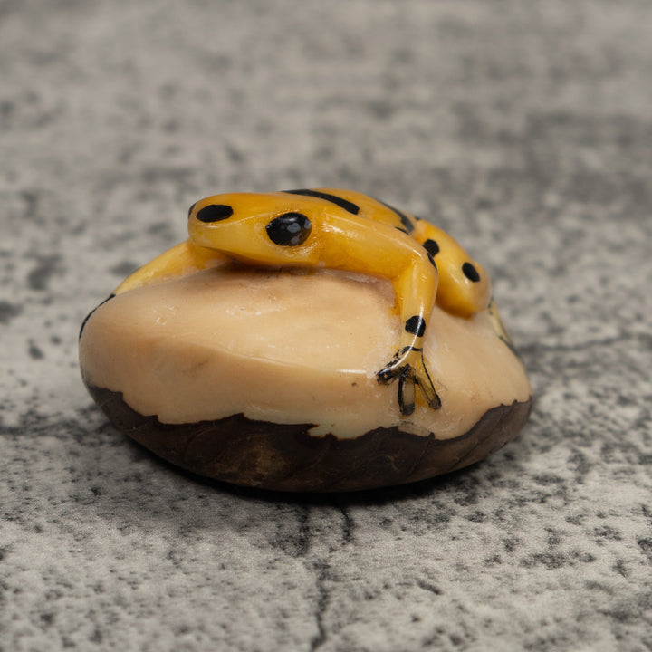 Golden Frog Tagua Carving