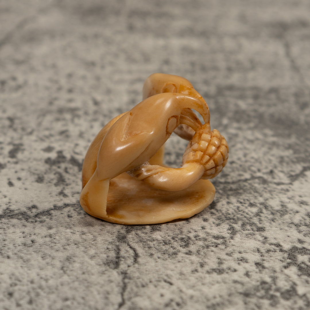 Vintage Natural Parrot Bird Tagua Carving