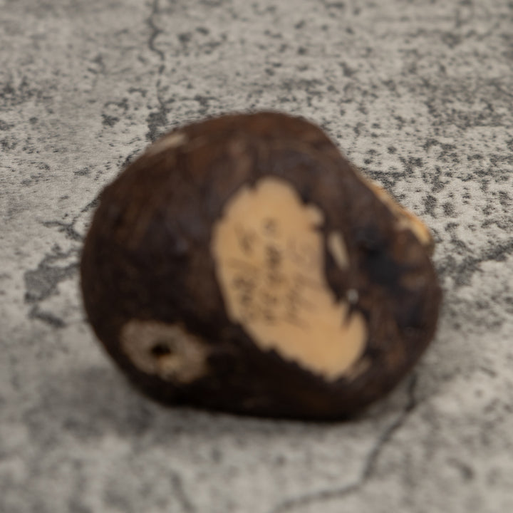 Vintage Black And Gold Frog Tagua Carving