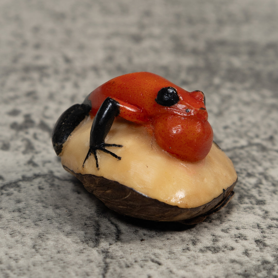 Black And Red Blowthroat Poison Dart Frog Tagua Carving