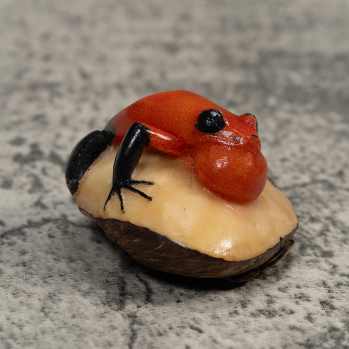 Black And Red Blowthroat Poison Dart Frog Tagua Carving