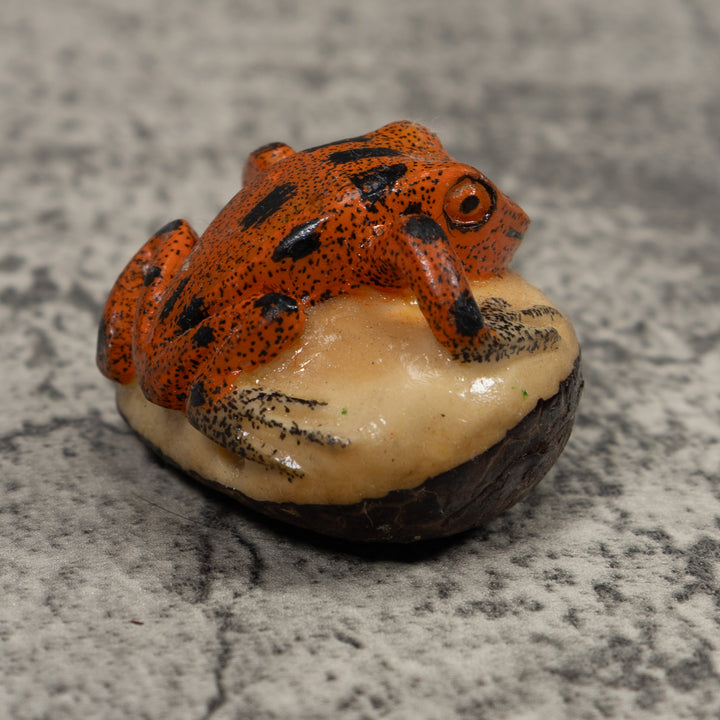 Vintage Poison Dart Frog Tagua Carving