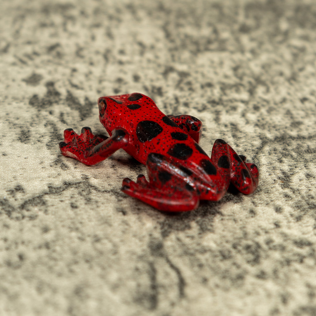 Free-Standing Red And Black Poison Dart Frog Tagua Carving