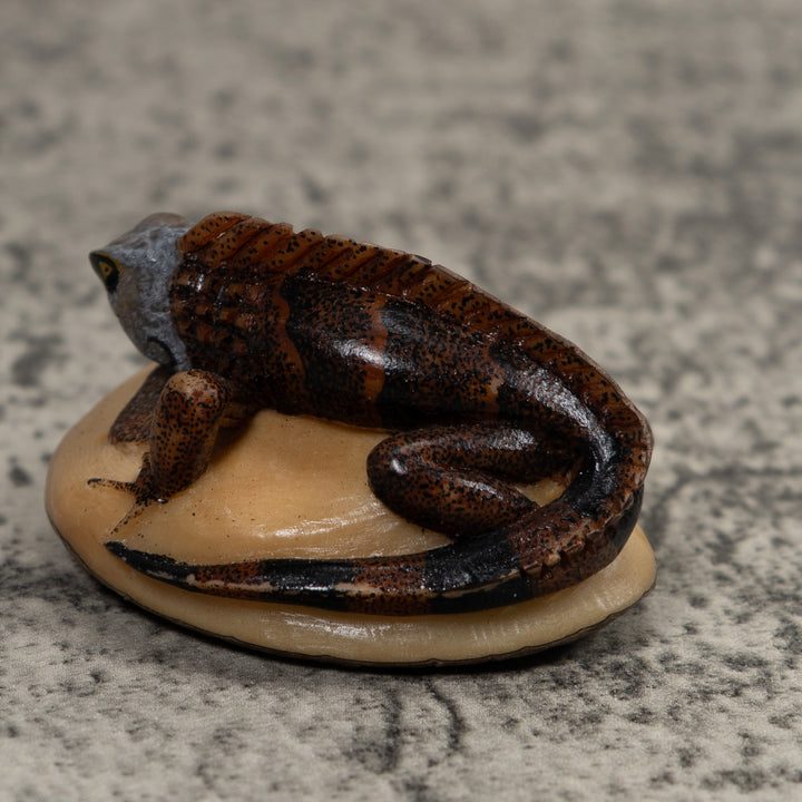 Iguana Lizard Reptile Tagua Carving