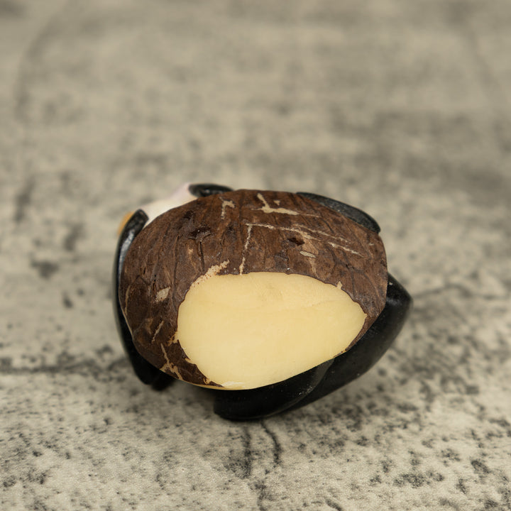 White Face Monkey Tagua Carving